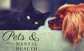 Pets & Mental Health with Cat and Dog
