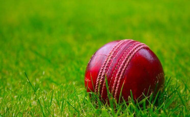 Cricket Ball on Grass