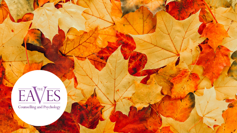 Autumn leaves in warm orange and gold tones, symbolising change, transition and reflection during the autumn season.
