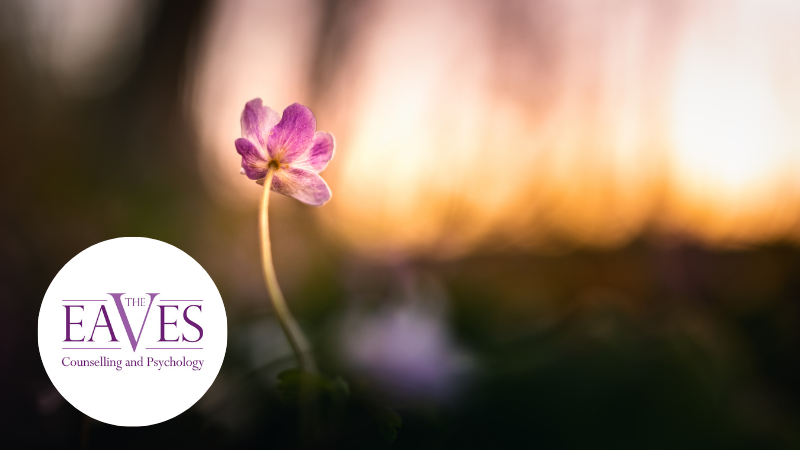 Pink flower blooming in a forest with sunlight symbolising healing and recovery from trauma