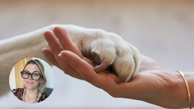 A person's hand gently holding a dog's paw, symbolising love, companionship, and loss.