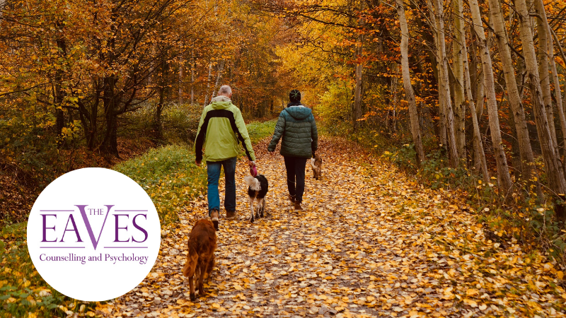 Couple walking their dogs through an autumnal forest, enjoying nature and connection as banner image. With The Eaves logo in circle in bottom left.