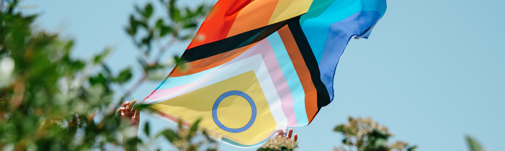 The True Meaning Behind the Colours of a Pride Flag - The Eaves