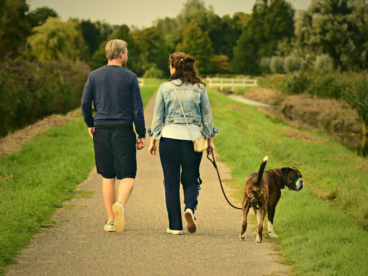 A couple walks a dog together in a peaceful outdoor setting, sharing a quiet moment.