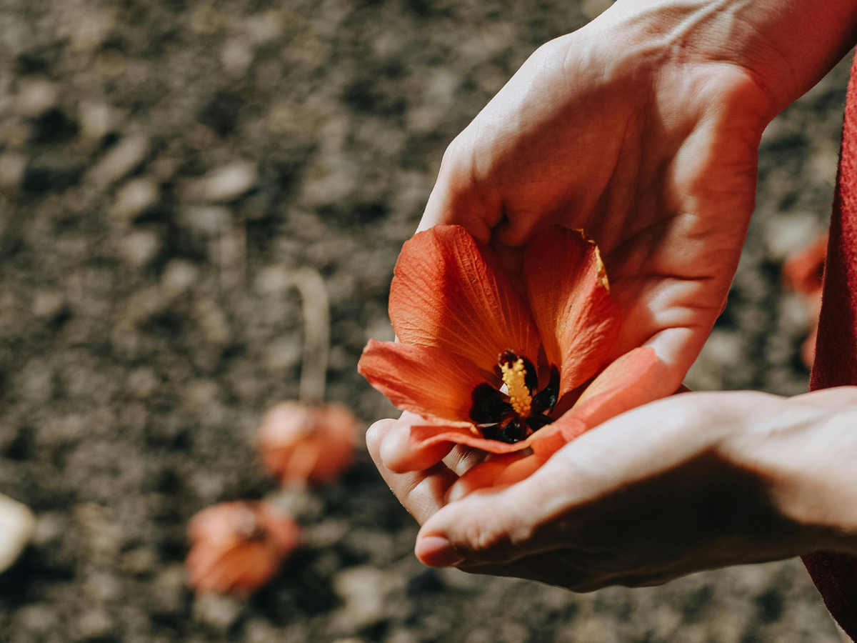 Woman’s hands gently cradling a vibrant orange flower over earthy ground, symbolizing inner care and emotional healing.