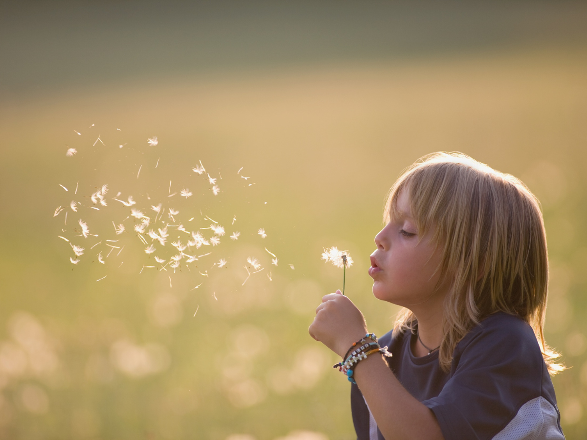 Child blowing dandelion seeds into the wind, symbolising growth and hope – The Eaves Counselling and Psychology
