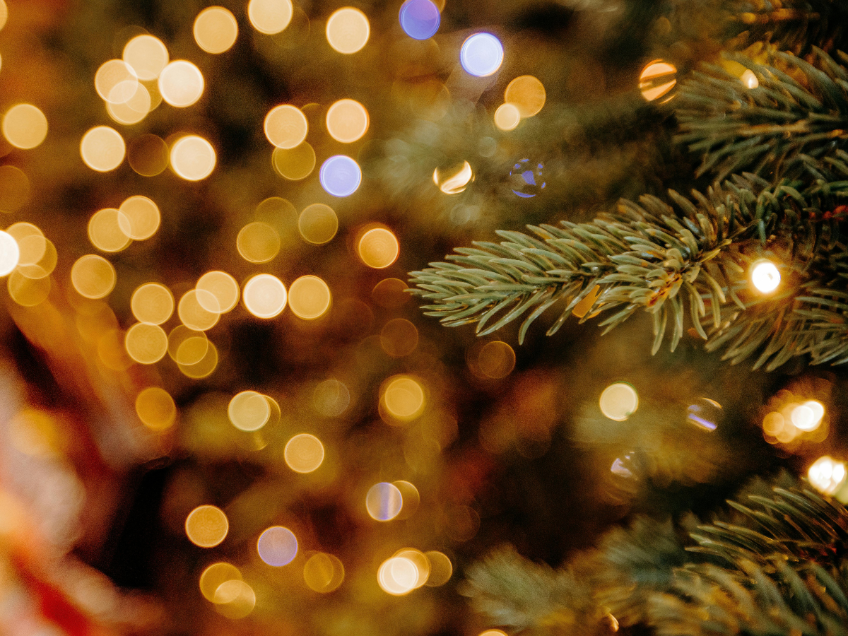 Soft, blurry Christmas lights with a festive tree branch, creating a calm and reflective seasonal atmosphere.