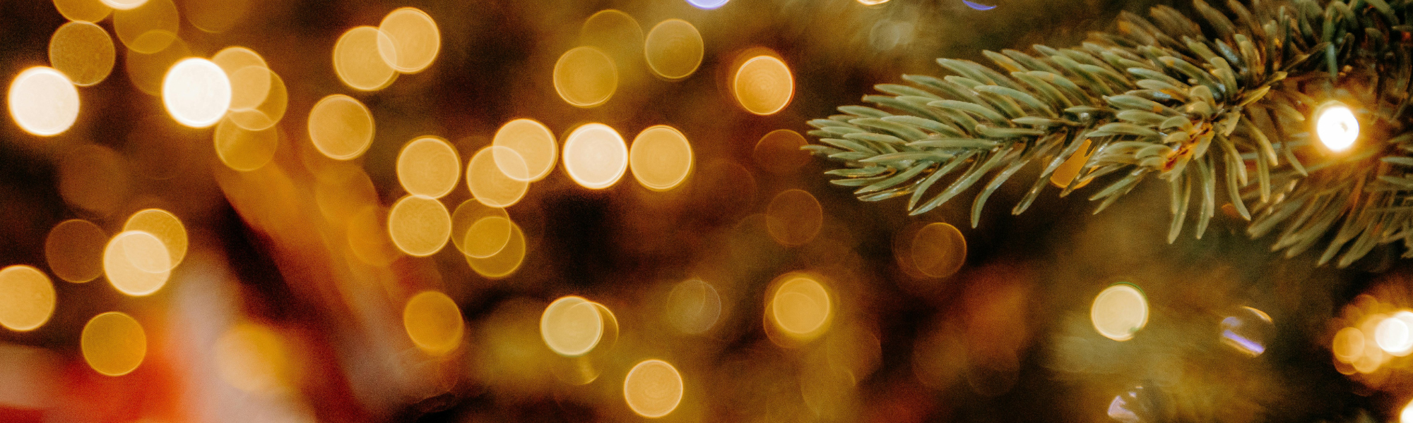 Soft, blurry Christmas lights with a festive tree branch, creating a calm and reflective seasonal atmosphere.