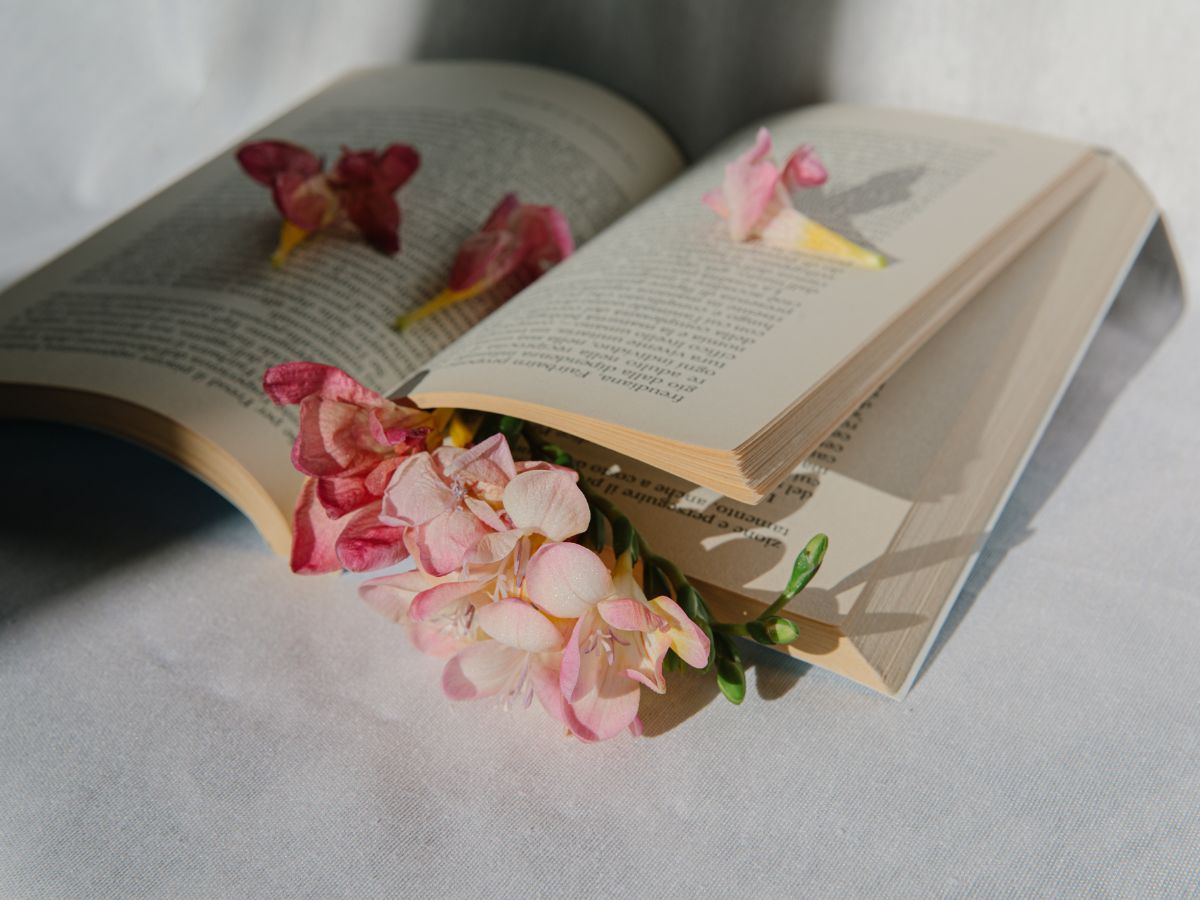 Open book with pink flowers scattered across pages on a white background, symbolising reflection, growth, and self-discovery.