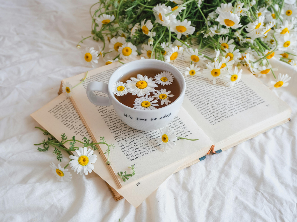 Open book on a white sheet with a cup of tea on the pages, white daisies arranged nearby and floating in the tea, symbolising reflection and emotional processing